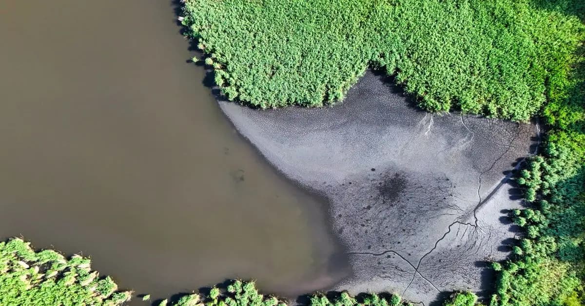 Analyse des impacts du tourisme sur l'environnement