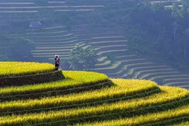 Les meilleures destinations pour explorer l'Asie authentique