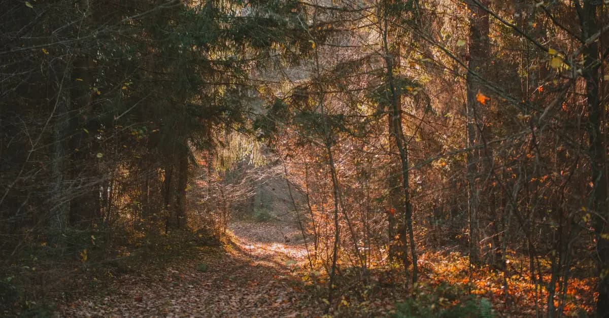 Les meilleurs conseils pour un voyage d'exploration réussi