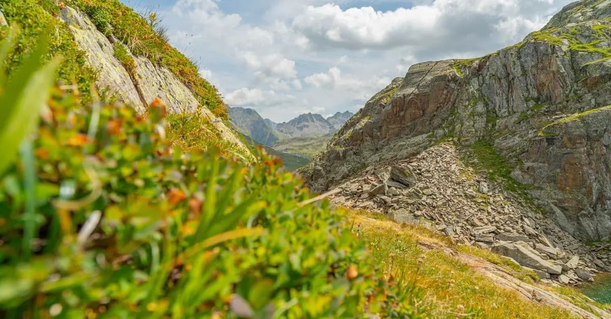 Les secrets pour une exploration réussie : Guide complet