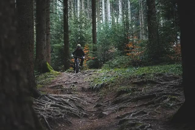 Les meilleures pratiques pour un voyage d'exploration réussi